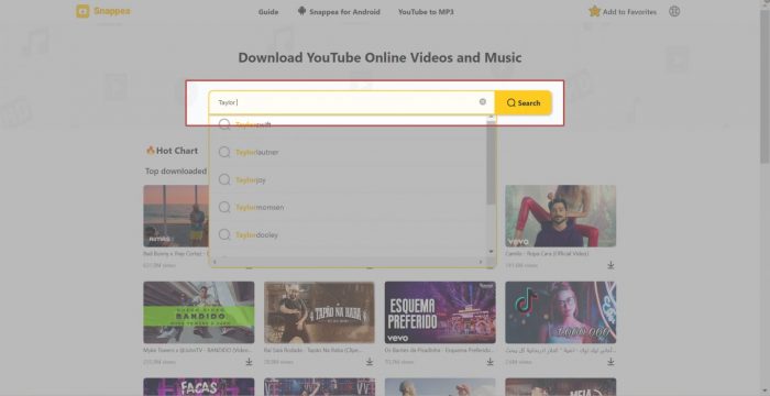 download video in any website