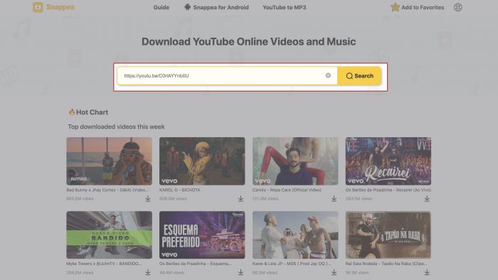 direct video downloader from any site